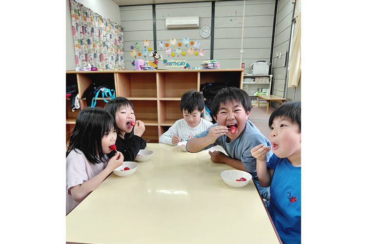 冷凍いちご